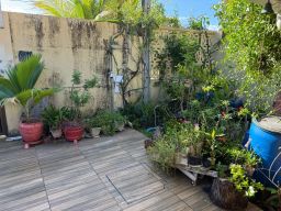 https://img.olx.com.br/thumbs256x256/24/245535756823600.jpg