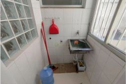 https://img.olx.com.br/thumbs256x256/24/245596049479586.jpg