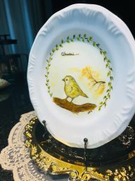 https://img.olx.com.br/thumbs256x256/24/245643060623412.jpg