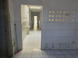 https://img.olx.com.br/thumbs256x256/24/245659660605035.jpg