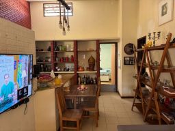 https://img.olx.com.br/thumbs256x256/24/246516396545323.jpg