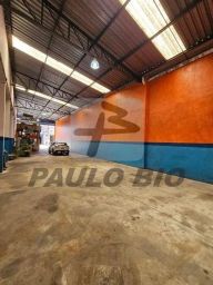 https://img.olx.com.br/thumbs256x256/24/246528287991147.jpg