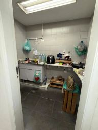 https://img.olx.com.br/thumbs256x256/24/246529630004251.jpg