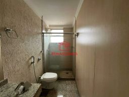 https://img.olx.com.br/thumbs256x256/24/246541169534907.jpg