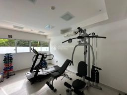 https://img.olx.com.br/thumbs256x256/24/246573167439439.jpg
