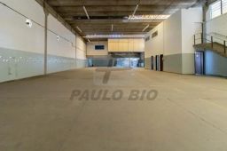 https://img.olx.com.br/thumbs256x256/24/246573403840508.jpg