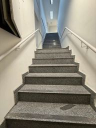 https://img.olx.com.br/thumbs256x256/24/247509395083970.jpg