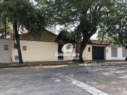 https://img.olx.com.br/thumbs256x256/24/247513133203600.jpg