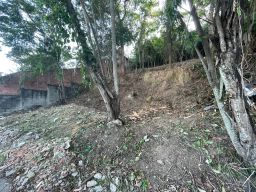 https://img.olx.com.br/thumbs256x256/24/247516885291227.jpg