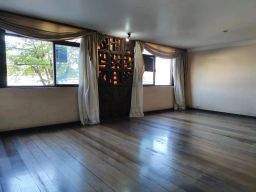 https://img.olx.com.br/thumbs256x256/24/247562648886949.jpg