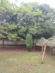 https://img.olx.com.br/thumbs256x256/24/247567402669539.jpg