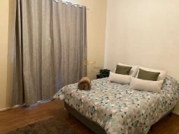 https://img.olx.com.br/thumbs256x256/24/248522886403085.jpg