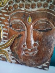 https://img.olx.com.br/thumbs256x256/24/248572401581348.jpg