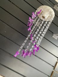 https://img.olx.com.br/thumbs256x256/24/249523758335247.jpg