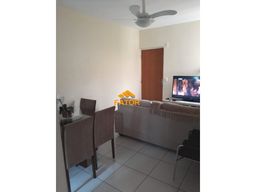 https://img.olx.com.br/thumbs256x256/25/250250287596024.jpg