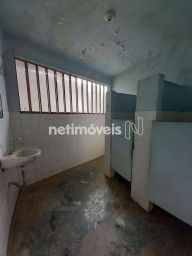 https://img.olx.com.br/thumbs256x256/25/250533271705845.jpg