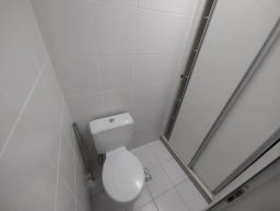 https://img.olx.com.br/thumbs256x256/25/250542287652196.jpg