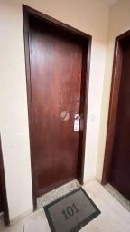 https://img.olx.com.br/thumbs256x256/25/250557524849851.jpg