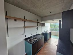 https://img.olx.com.br/thumbs256x256/25/250557882469618.jpg