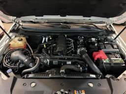 https://img.olx.com.br/thumbs256x256/25/250558636003422.jpg