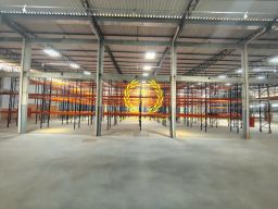 https://img.olx.com.br/thumbs256x256/25/250681806144005.jpg