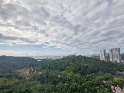 https://img.olx.com.br/thumbs256x256/25/251509162485664.jpg