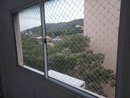 https://img.olx.com.br/thumbs256x256/25/251532753741295.jpg
