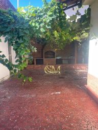 https://img.olx.com.br/thumbs256x256/25/251572390181491.jpg