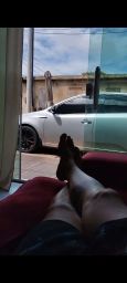 https://img.olx.com.br/thumbs256x256/25/251582634003134.jpg