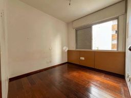 https://img.olx.com.br/thumbs256x256/25/251593641101316.jpg