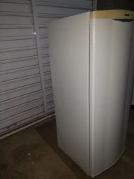 https://img.olx.com.br/thumbs256x256/25/252524496364209.jpg