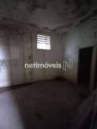 https://img.olx.com.br/thumbs256x256/25/252556277313757.jpg