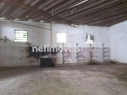 https://img.olx.com.br/thumbs256x256/25/252556392698237.jpg