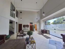 https://img.olx.com.br/thumbs256x256/25/252585520987378.jpg
