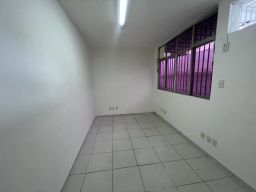 https://img.olx.com.br/thumbs256x256/25/252697411418897.jpg