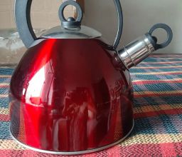 https://img.olx.com.br/thumbs256x256/25/253478614466945.jpg