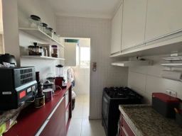 https://img.olx.com.br/thumbs256x256/25/253521159946945.jpg