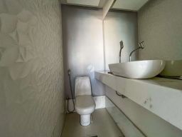 https://img.olx.com.br/thumbs256x256/25/253548527442025.jpg