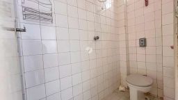 https://img.olx.com.br/thumbs256x256/25/253570529663698.jpg