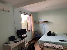 https://img.olx.com.br/thumbs256x256/25/253587631953041.jpg