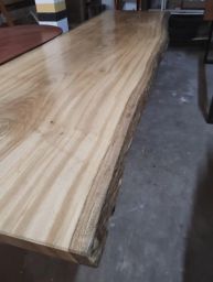 https://img.olx.com.br/thumbs256x256/25/254407687739187.jpg