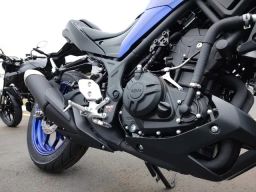 https://img.olx.com.br/thumbs256x256/25/254497157336292.jpg