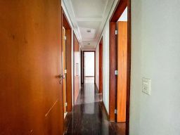 https://img.olx.com.br/thumbs256x256/25/254500522174120.jpg