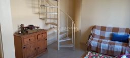 https://img.olx.com.br/thumbs256x256/25/254511523634636.jpg