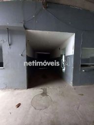 https://img.olx.com.br/thumbs256x256/25/254514515882299.jpg