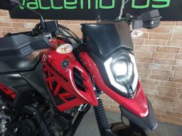 https://img.olx.com.br/thumbs256x256/25/254528495243905.jpg