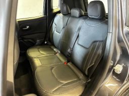 https://img.olx.com.br/thumbs256x256/25/254530167035417.jpg
