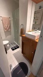 https://img.olx.com.br/thumbs256x256/25/254541401200139.jpg