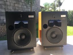 https://img.olx.com.br/thumbs256x256/25/254543623514843.jpg