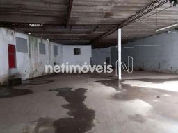 https://img.olx.com.br/thumbs256x256/25/254573752689419.jpg